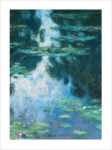 Water Lilies