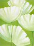 White on Green