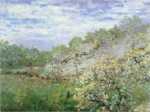 B�ume in Bl�te