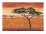 Serengeti Dawn