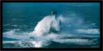 Tempete sur la vieille