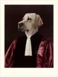 The Advocate