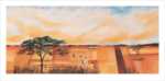 Bhundu Landscape II