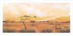 Bhundu Landscape IV