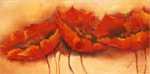 Wilder Mohn
