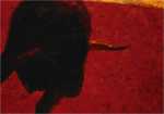 Sol y Sombra 5