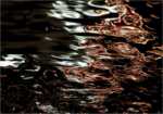 Liquids 4