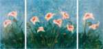 Callas (triptico)