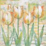 Orange Tulips