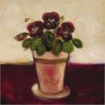 Plum Pansy