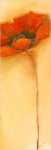 Mohnbl�te I