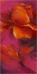 Asian Rose II