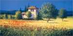 Summer Fields I