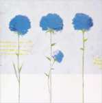 Flores Azules II