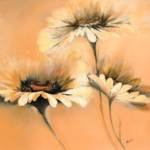 Apricot Summer I