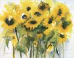 Sonnenblumenfeld
