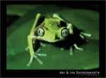 Maki Frog