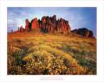 Superstitions in Bloom