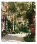 The Palm House