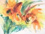 Tulpen