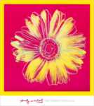 Daisy, 1982