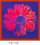 Daisy, 1982