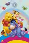 WINNIE THE POOH - RAINBOW HUG