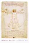 VITRUVIAN