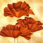 Three Poppies I