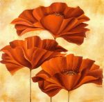 Three Poppies II