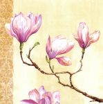 Magnolias on Pink