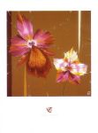 ORCHIDS AND SEEDS