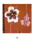COLUMBINE AND ORCHID