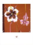 COLUMBINE AND ORCHID