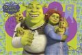 SHREK RODZINKA (32)