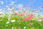 Flower Meadow ��ka