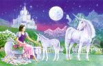Unicorn Princess