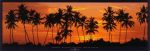 Island in the Sun