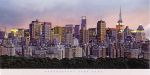new York Skyline