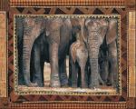 Elephants