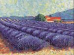 Lavender Fields II