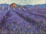 Lavender Fields I
