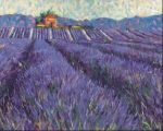 Lavender Fields I