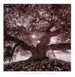 Under Elm
