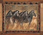 Zebras