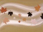 Autumn Bronze