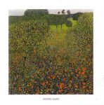 Field of Poppies FRAGMENT