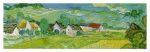 Sonnige Wiese FRAGMENT