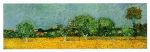 View with Irises FRAGMENT