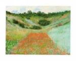 Field of Poppies
